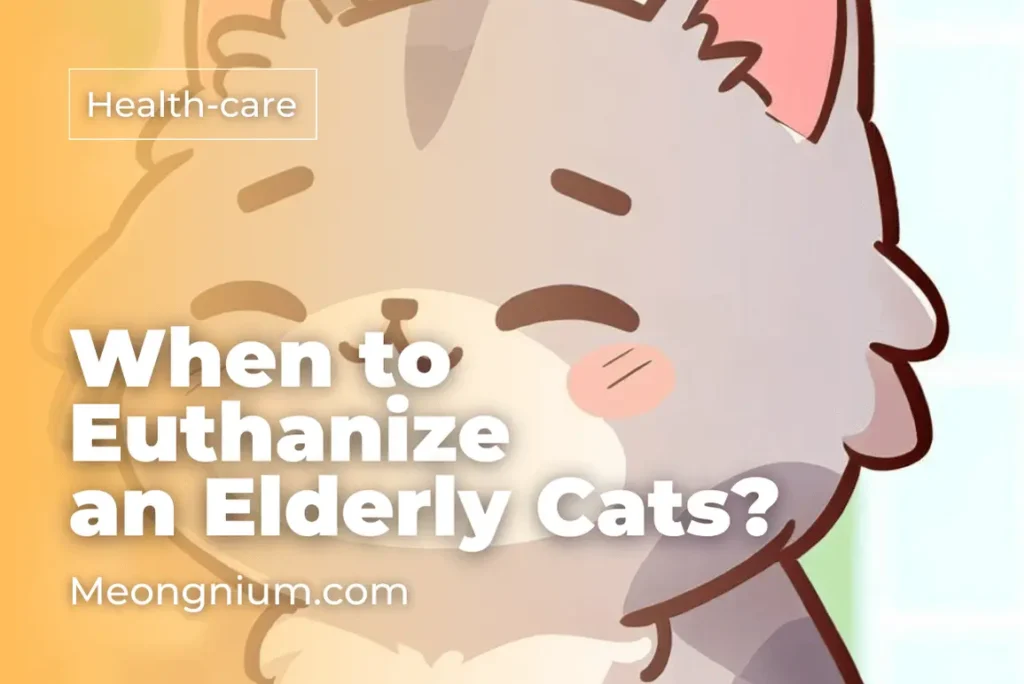 elderly cats when to euthanize