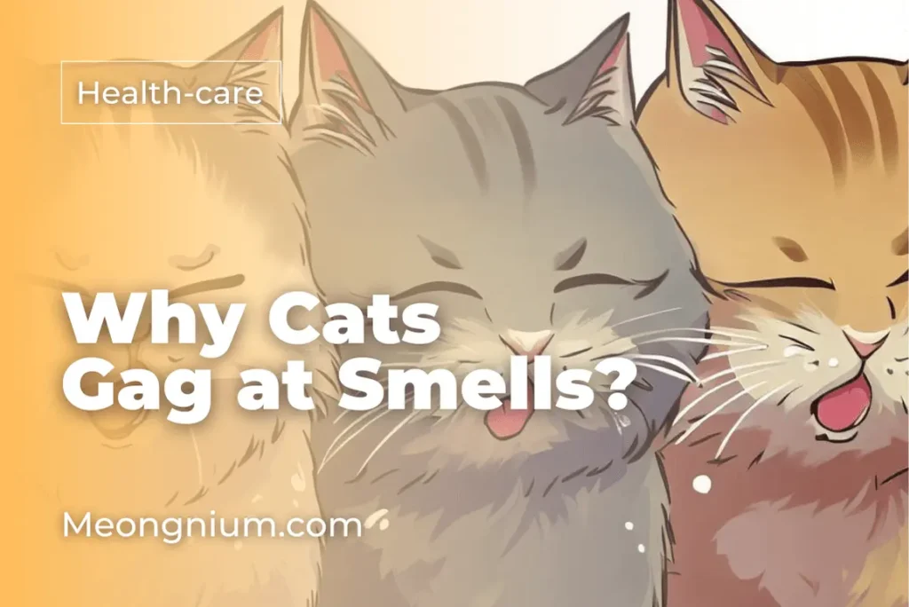 why cats gag at smells