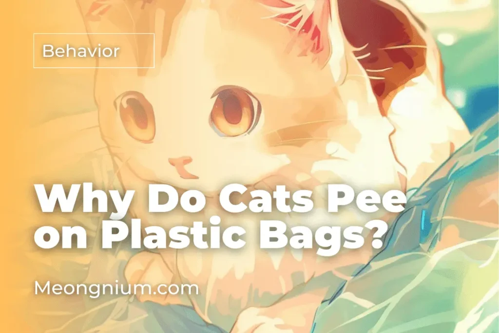 why do cats pee on plastic bags